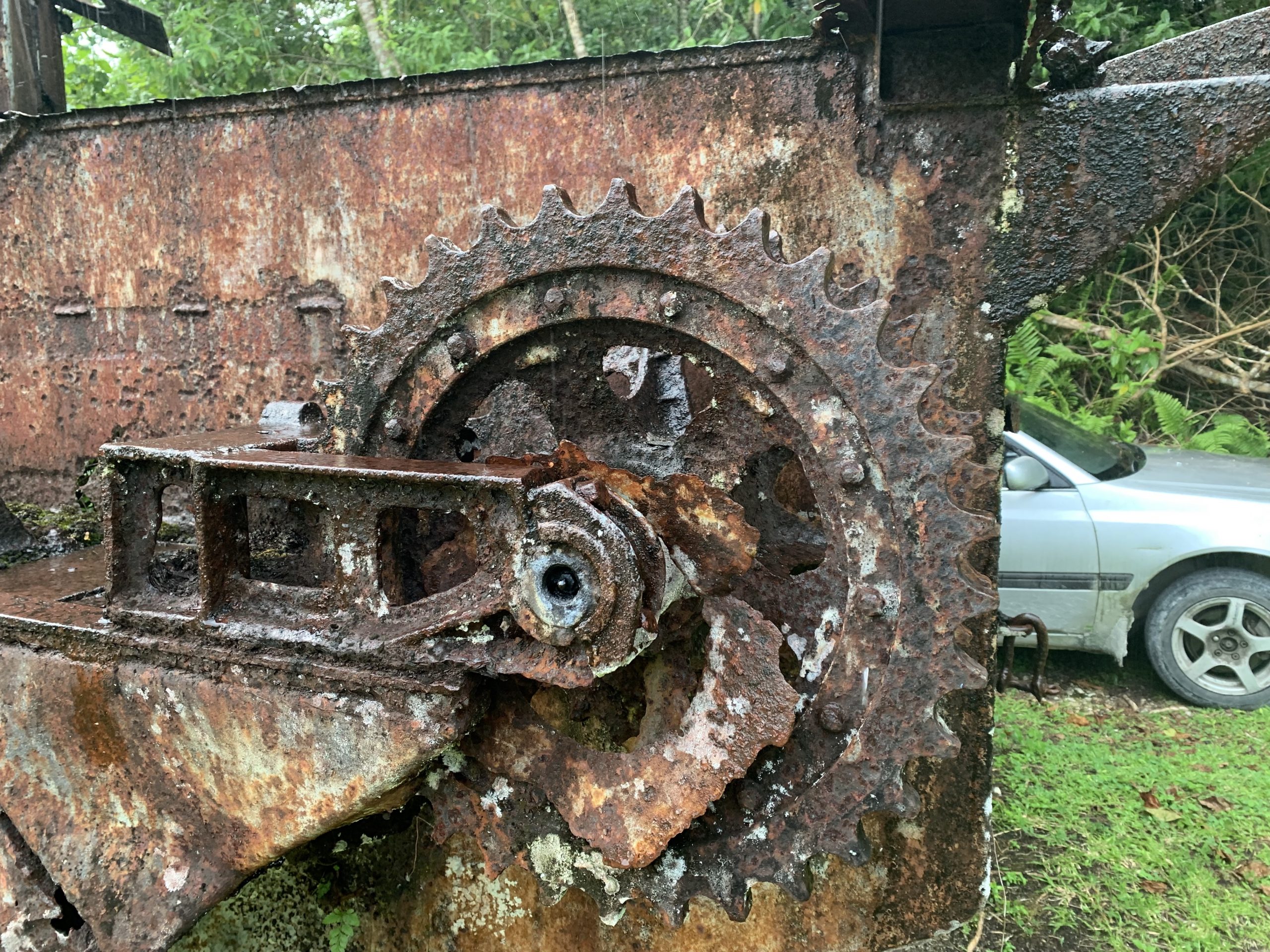 battle of peleliu tank rain palau