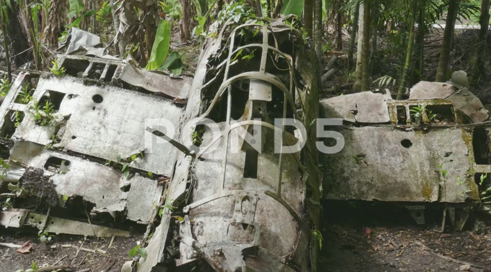 zero fighter ruins battle of peleliu palau screenshot stock video