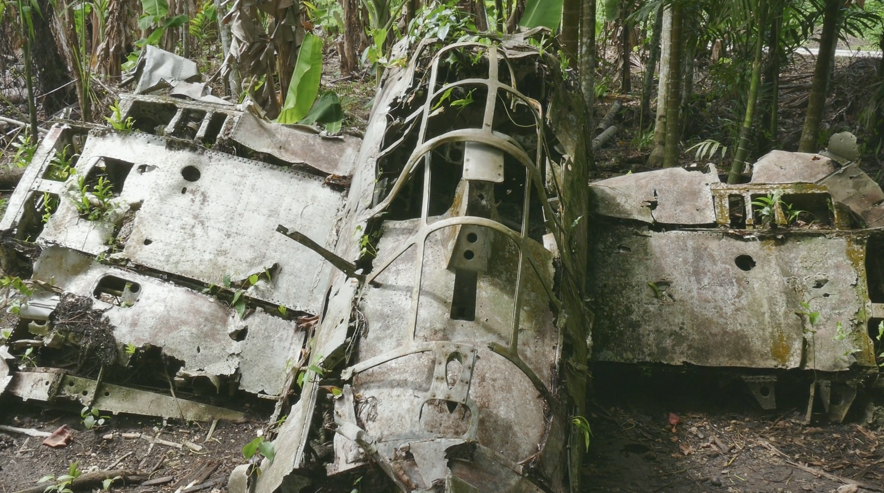 zero fighter ruins battle of peleliu palau